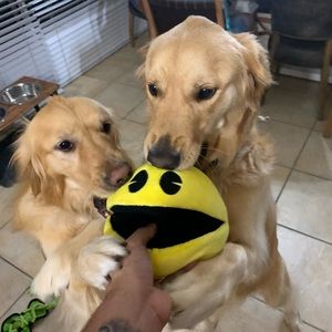 Meet your Posher, Reinel